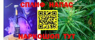 винт Канаш