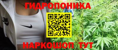 сатива Кандалакша