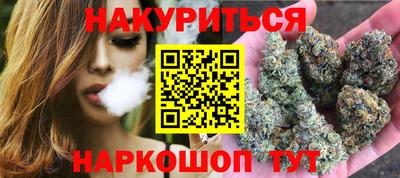 сатива Кандалакша